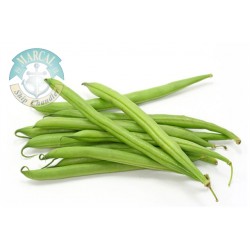 Green Spring Beans