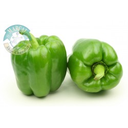 Pepper Green Bell