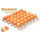 Bachoco Egg Wallet