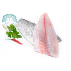 Largemouth Bass Fish Fillet