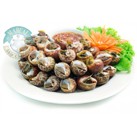 Cooked Chinese Snail